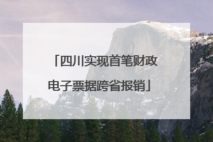 四川实现首笔财政电子票据跨省报销