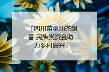 四川苗乡油茶飘香 民族类资金助力乡村振兴