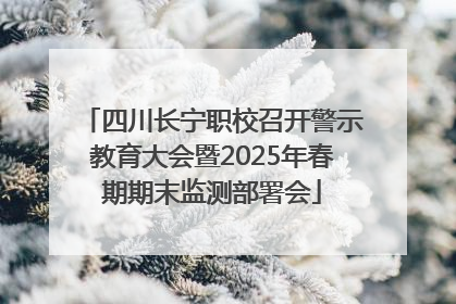 四川长宁职校召开警示教育大会暨2025年春期期末监测部署会