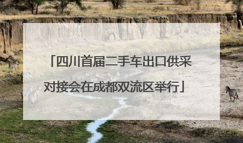四川首届二手车出口供采对接会在成都双流区举行