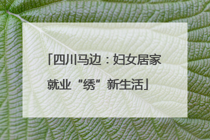 四川马边：妇女居家就业“绣”新生活
