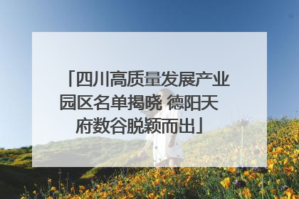 四川高质量发展产业园区名单揭晓 德阳天府数谷脱颖而出