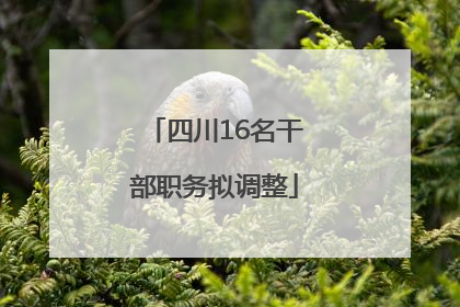 四川16名干部职务拟调整