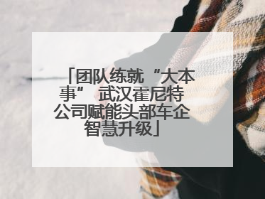 团队练就“大本事” 武汉霍尼特公司赋能头部车企智慧升级