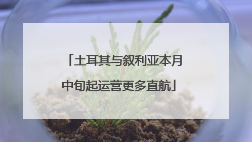 土耳其与叙利亚本月中旬起运营更多直航
