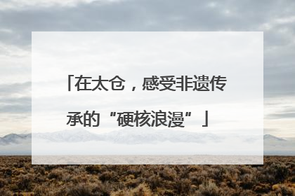 在太仓，感受非遗传承的“硬核浪漫”