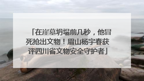 在崖墓坍塌前几秒，他冒死抢出文物！眉山杨宇春获评四川省文物安全守护者