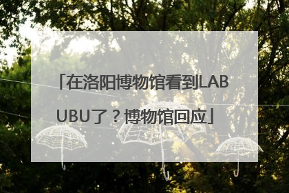 在洛阳博物馆看到LABUBU了？博物馆回应