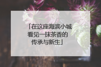 在这座海滨小城 看见一抹茶香的传承与新生