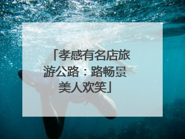 孝感有名店旅游公路：路畅景美人欢笑