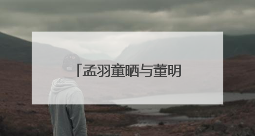 孟羽童晒与董明珠合照：感念曾经，未来珍重