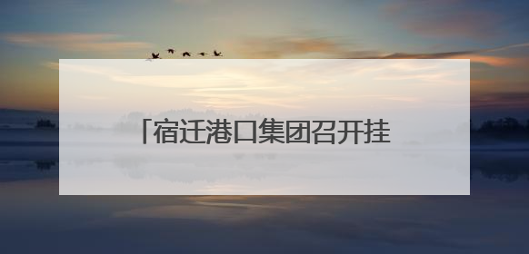 宿迁港口集团召开挂职干部交流座谈会