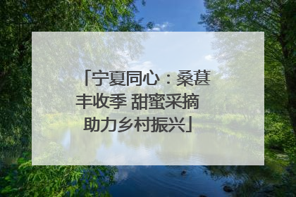 宁夏同心：桑葚丰收季 甜蜜采摘助力乡村振兴