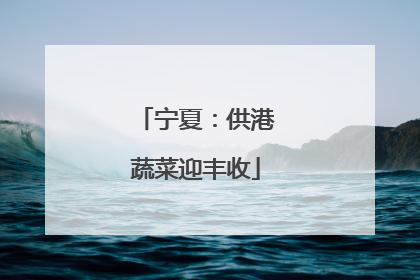 宁夏：供港蔬菜迎丰收