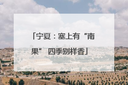 宁夏：塞上有“南果” 四季别样香