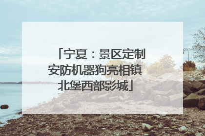 宁夏：景区定制安防机器狗亮相镇北堡西部影城