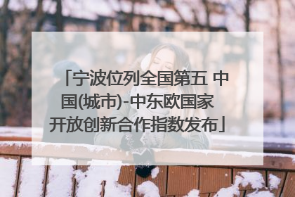 宁波位列全国第五 中国(城市)-中东欧国家开放创新合作指数发布