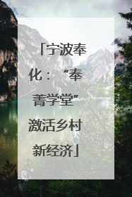 宁波奉化：“奉菁学堂”激活乡村新经济
