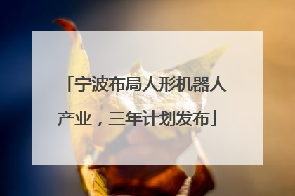 宁波布局人形机器人产业，三年计划发布
