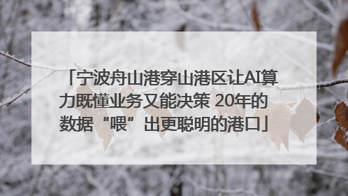 宁波舟山港穿山港区让AI算力既懂业务又能决策 20年的数据“喂”出更聪明的港口