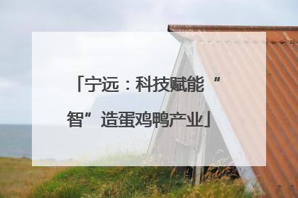 宁远：科技赋能“智”造蛋鸡鸭产业