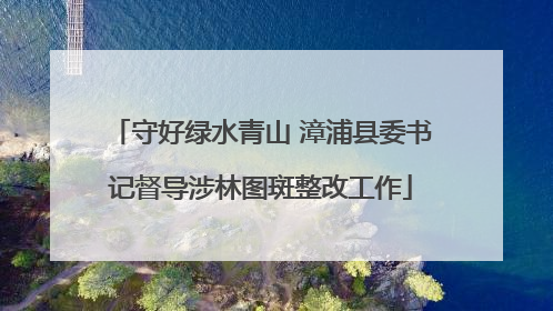 守好绿水青山 漳浦县委书记督导涉林图斑整改工作