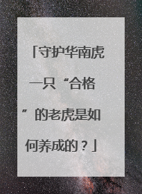 守护华南虎 一只“合格”的老虎是如何养成的？