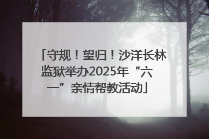 守规！望归！沙洋长林监狱举办2025年“六一”亲情帮教活动