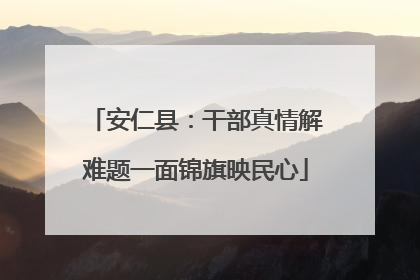 安仁县：干部真情解难题一面锦旗映民心