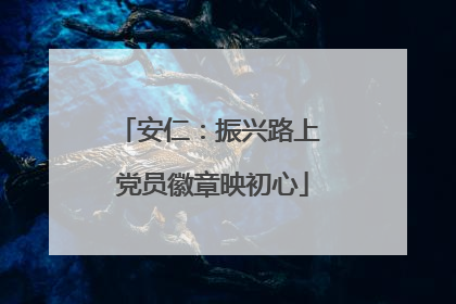 安仁：振兴路上 党员徽章映初心