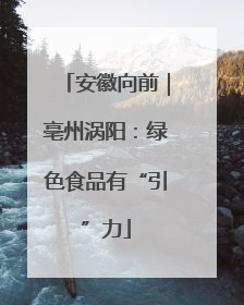 安徽向前｜亳州涡阳：绿色食品有“引”力