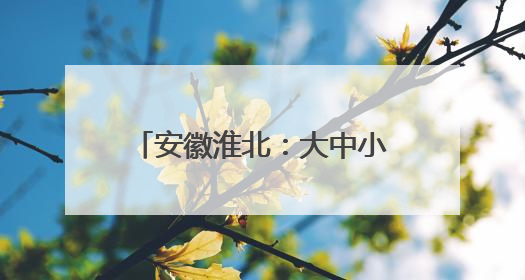 安徽淮北：大中小课程思政一体化示范课程（音乐）开题仪式圆满举行