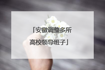 安徽调整多所高校领导班子