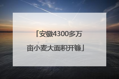 安徽4300多万亩小麦大面积开镰
