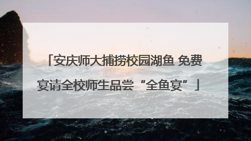 安庆师大捕捞校园湖鱼 免费宴请全校师生品尝“全鱼宴”