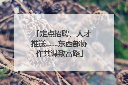定点招聘、人才推送……东西部协作共谋致富路