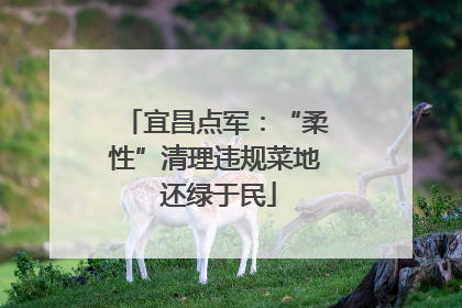 宜昌点军：“柔性”清理违规菜地 还绿于民