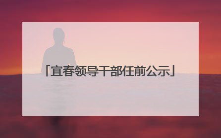 宜春领导干部任前公示
