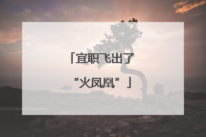 宜职飞出了“火凤凰”