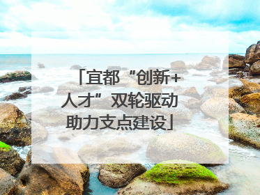 宜都“创新+人才”双轮驱动助力支点建设