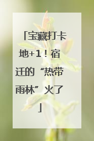 宝藏打卡地+1！宿迁的“热带雨林”火了