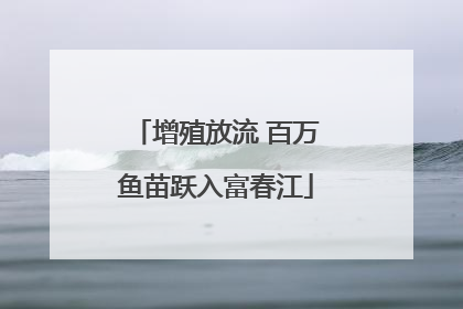 增殖放流 百万鱼苗跃入富春江