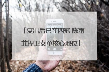 复出后已夺四冠 陈雨菲捍卫女单核心地位