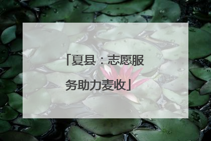 夏县：志愿服务助力麦收