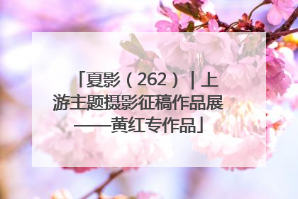 夏影（262）｜上游主题摄影征稿作品展——黄红专作品
