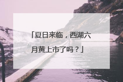 夏日来临，西湖六月黄上市了吗？