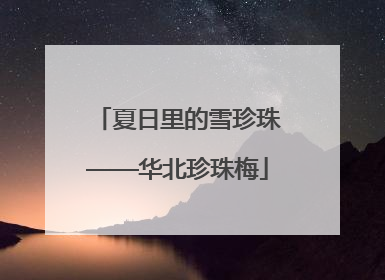 夏日里的雪珍珠——华北珍珠梅