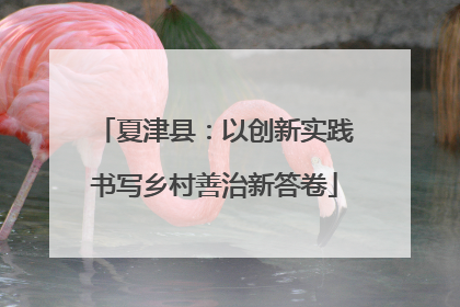 夏津县：以创新实践书写乡村善治新答卷