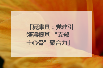 夏津县：党建引领强根基 “支部主心骨”聚合力