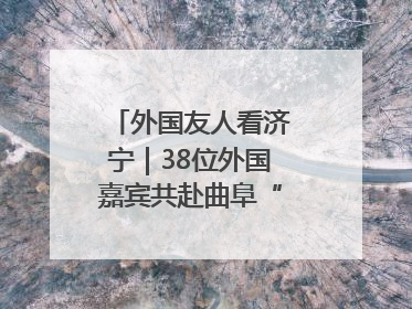 外国友人看济宁｜38位外国嘉宾共赴曲阜“文化之约”